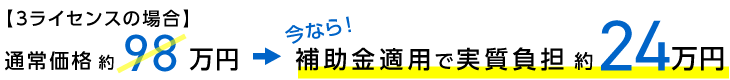 【3ライセンスの場合】